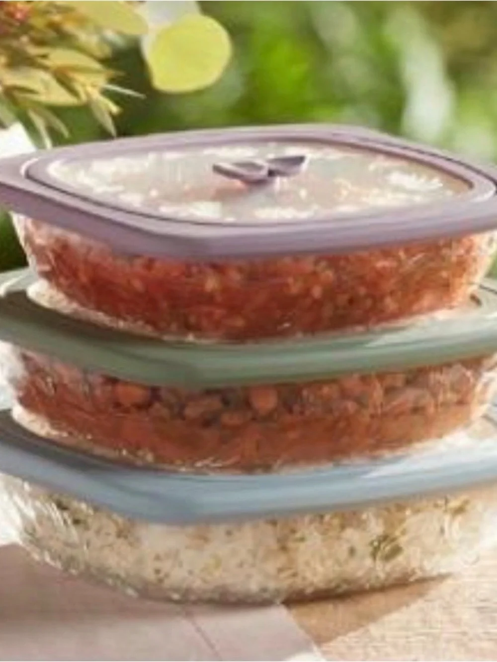 Princess House 3pc Wildflower  Containers